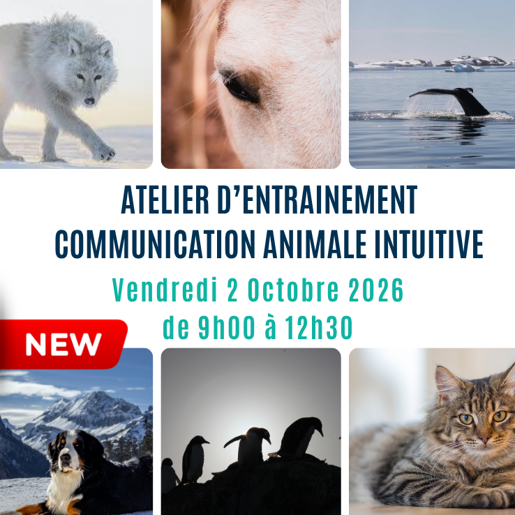 atelier d'entrainement à la communication animale intuitive animé par caroline gauthier développer son intution afin de parler avec les animaux - affiche