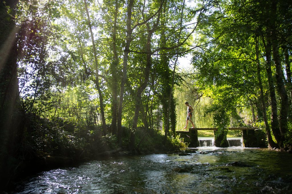 apprendre à parler avec les animaux près de poitiers la rochelle niort